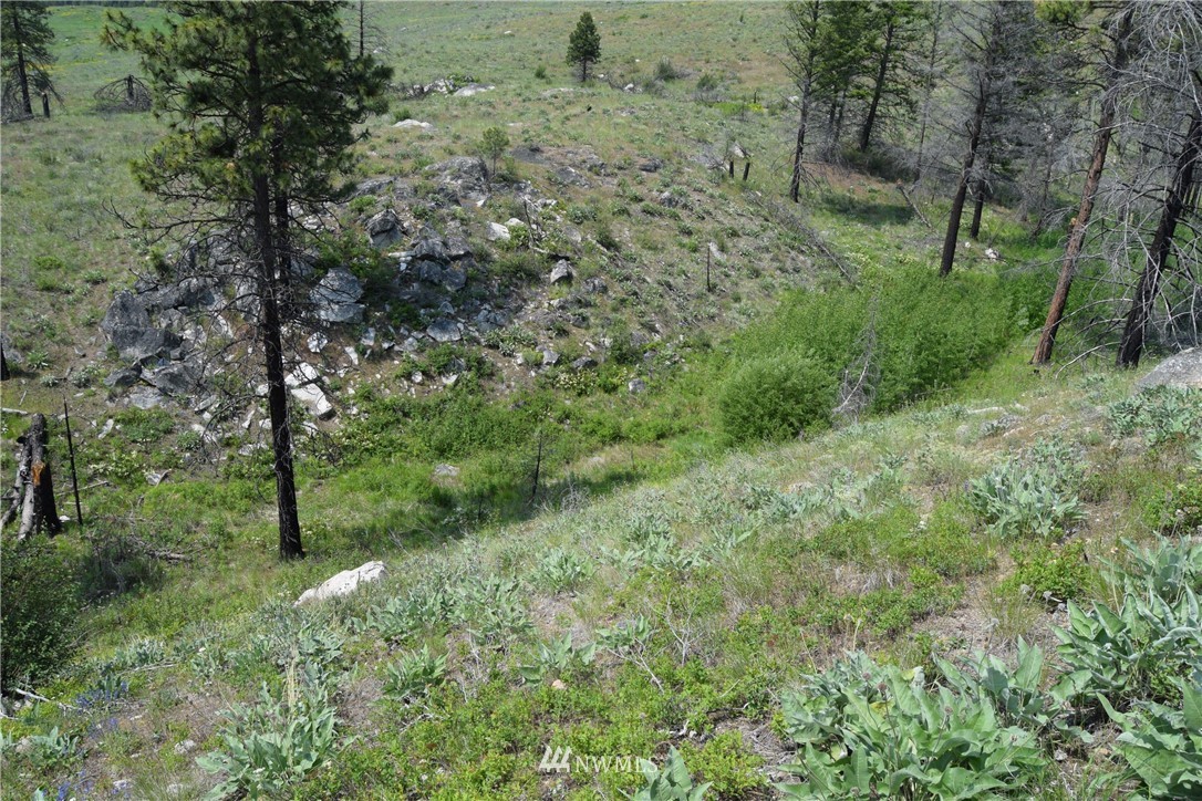 720 Chiliwist Road Malott, WA 98829 - Photo 13 of 23 Gallery Image 13