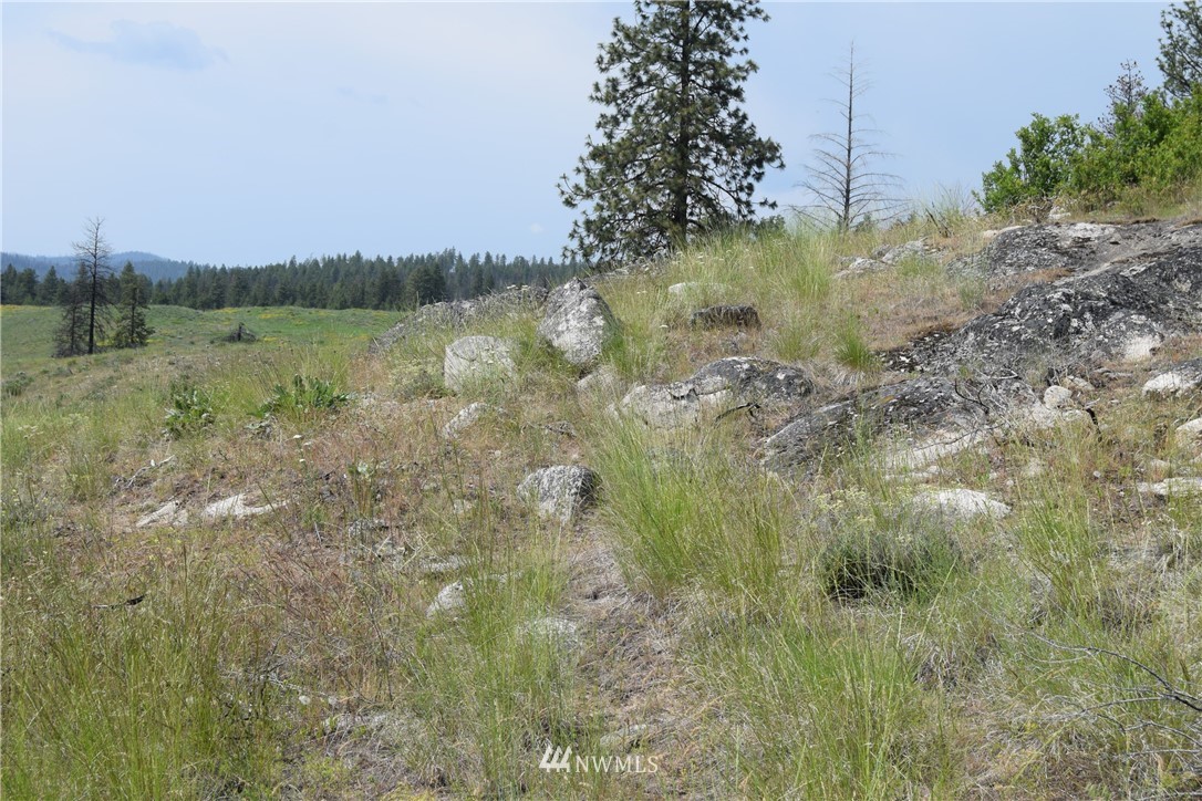 720 Chiliwist Road Malott, WA 98829 - Photo 17 of 23 Gallery Image 17