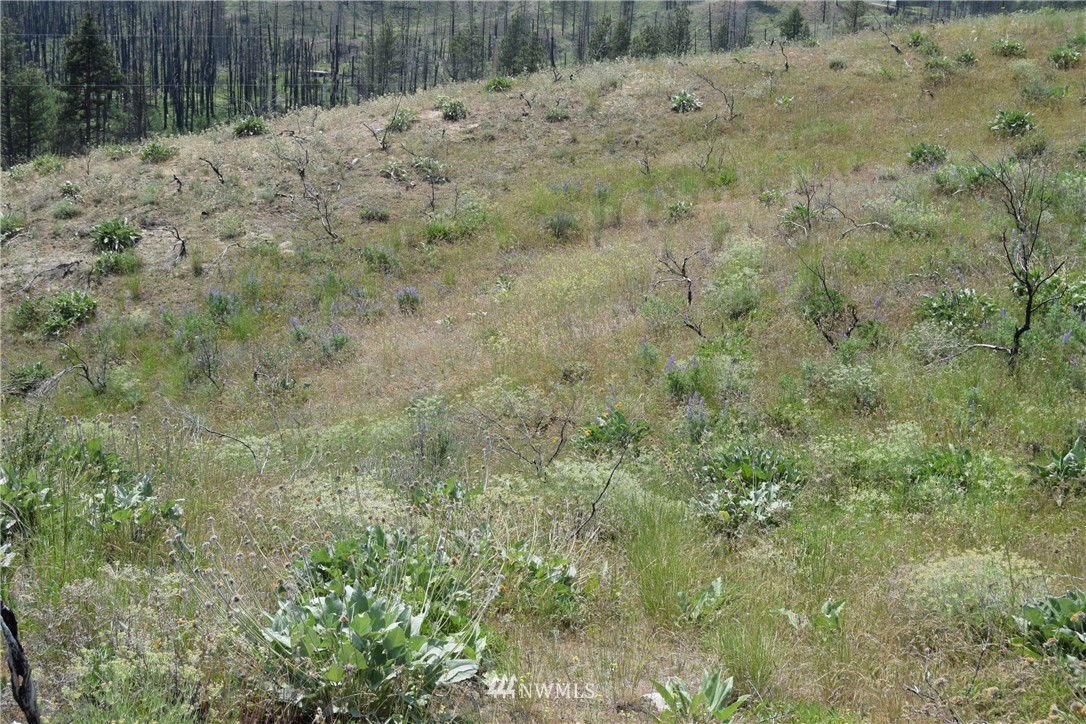 720 Chiliwist Road Malott, WA 98829 - Photo 18 of 23 Gallery Image 18