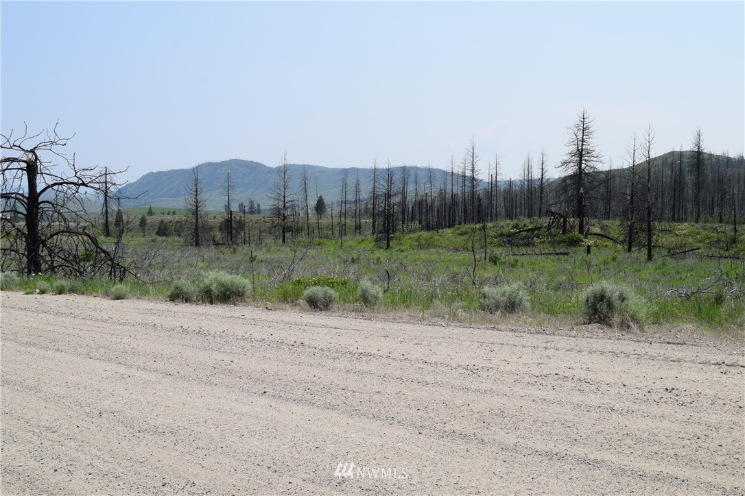 720 Chiliwist Road Malott, WA 98829 - Photo 21 of 23 Gallery Image 21
