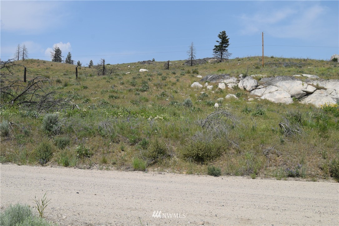 720 Chiliwist Road Malott, WA 98829 - Photo 22 of 23 Gallery Image 22
