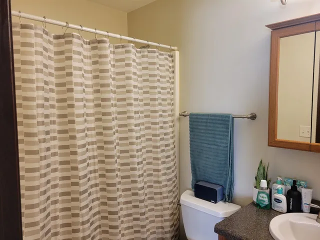 a bathroom with a toilet and a shower curtain