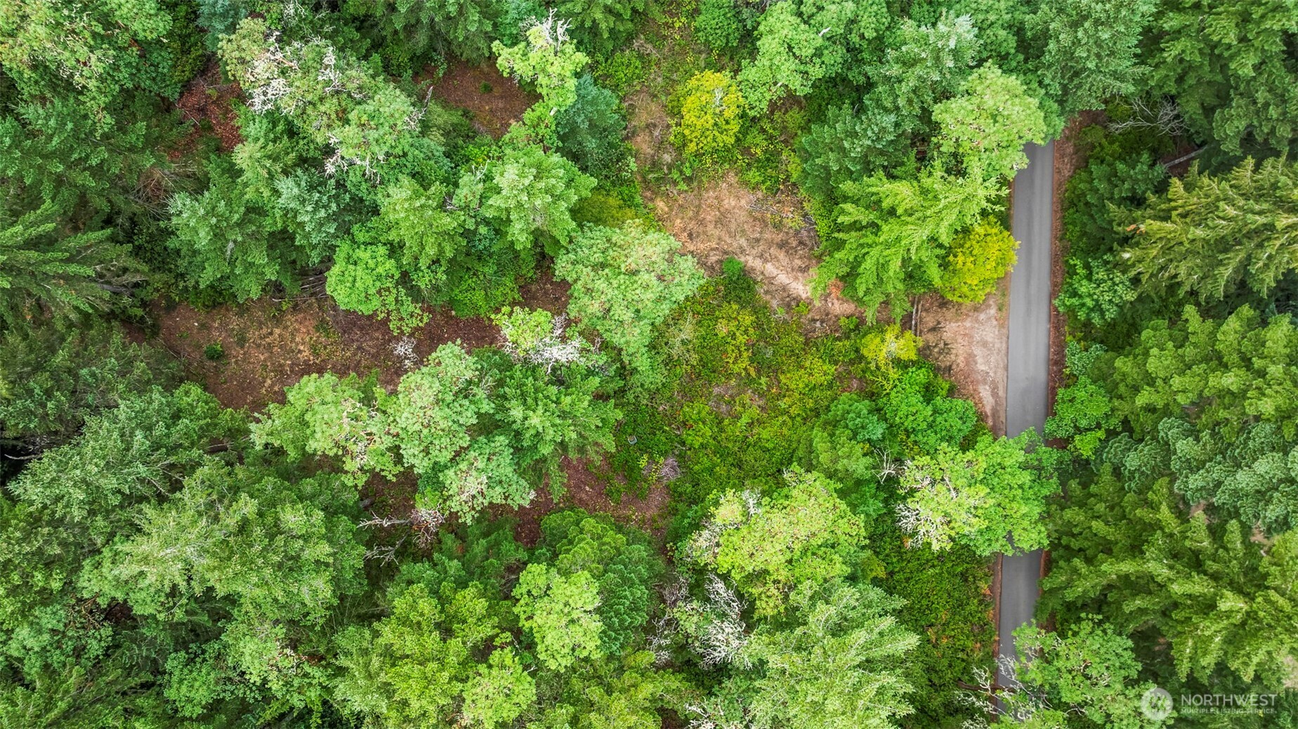 17420 74th Street Northwest Vaughn, WA 98394 - Photo 11 of 17 an aerial view of residential house with outdoor space and trees all around