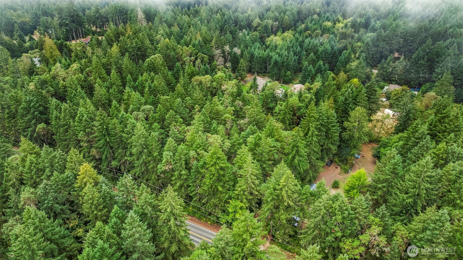 17420 74th Street Northwest Vaughn, WA 98394 - Photo 12 of 17 a view of a lush green forest