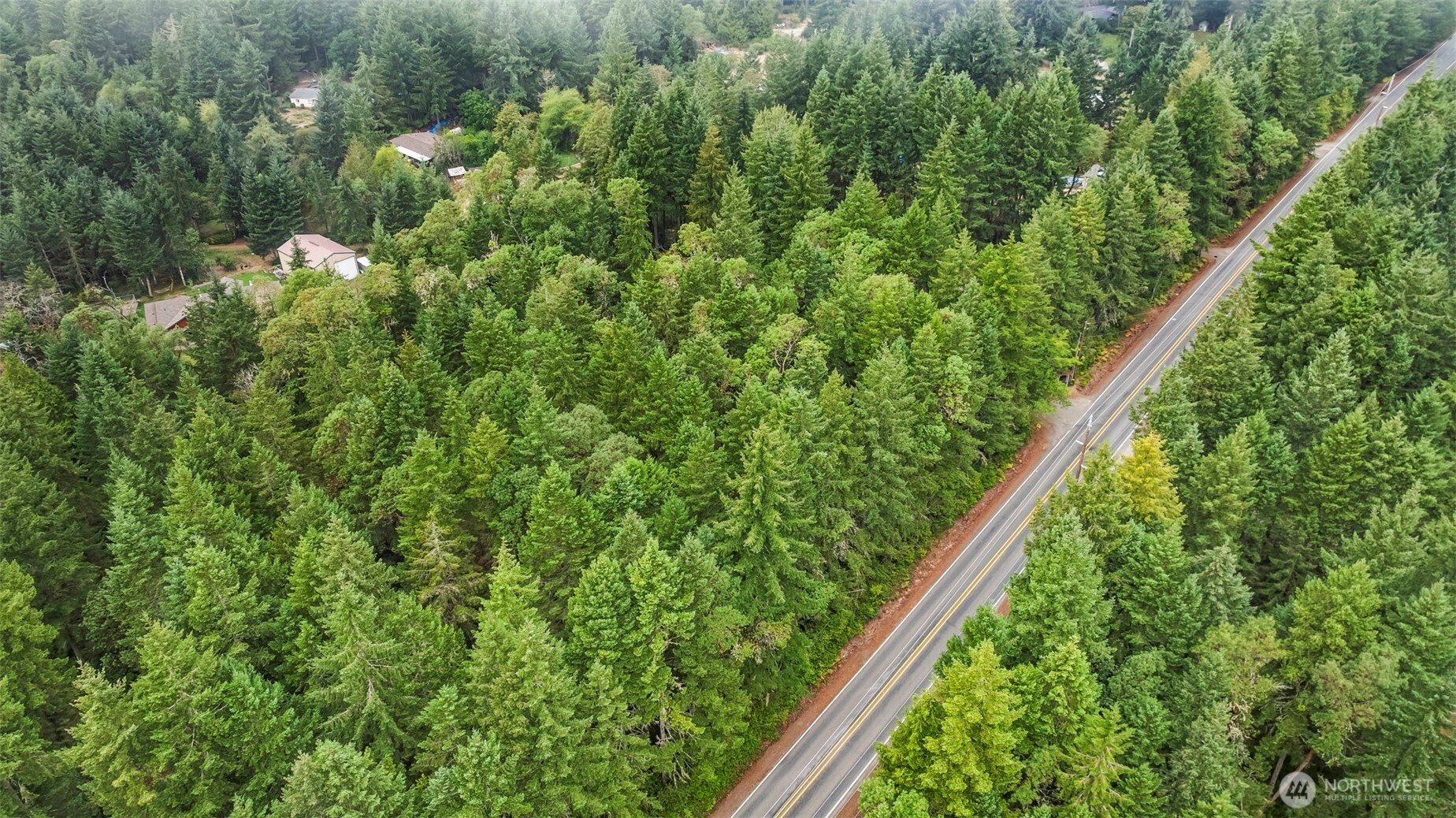 17420 74th Street Northwest Vaughn, WA 98394 - Photo 13 of 17 a close up of a plant in a garden