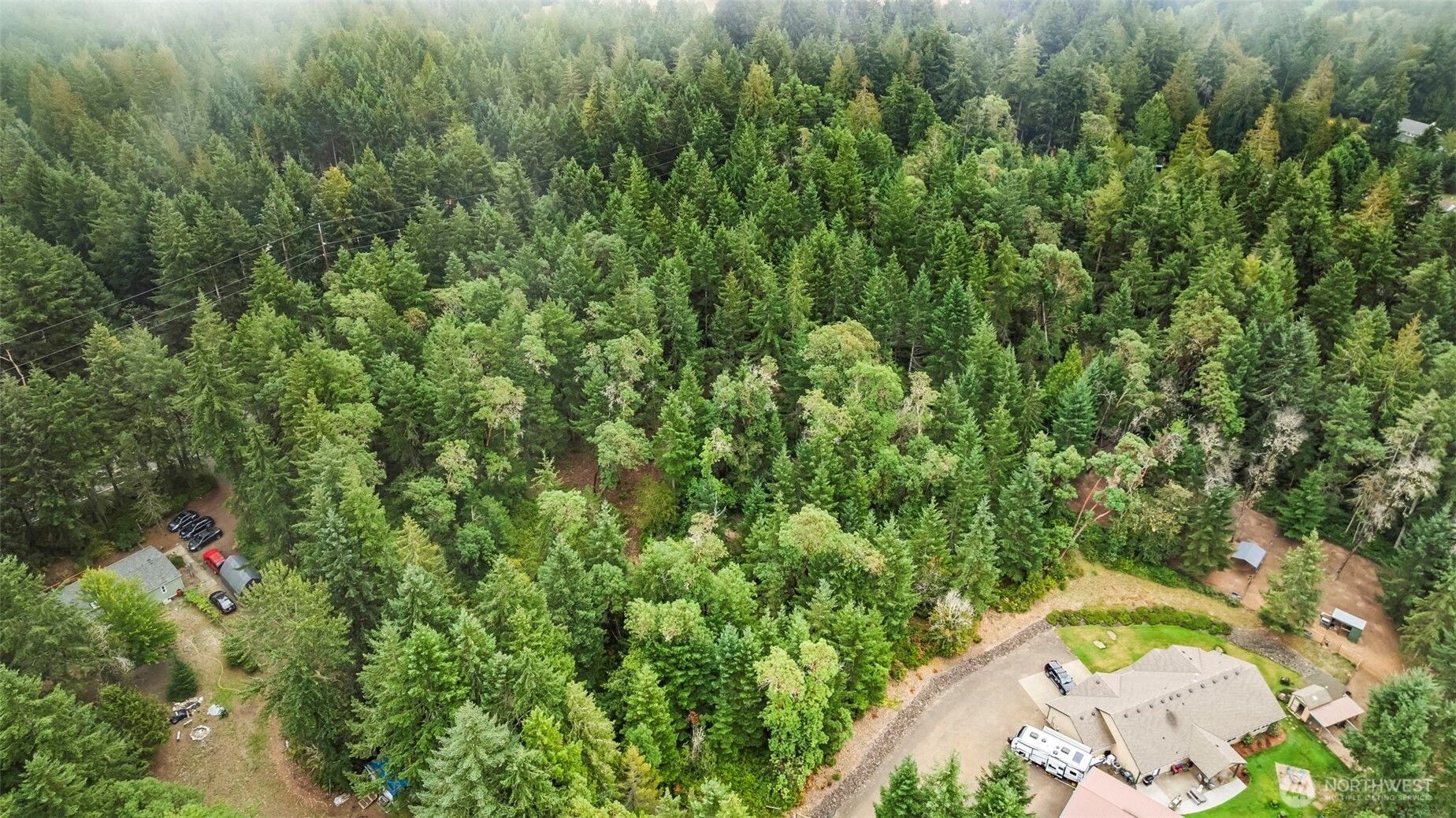 17420 74th Street Northwest Vaughn, WA 98394 - Photo 14 of 17 a view of a forest with a tree