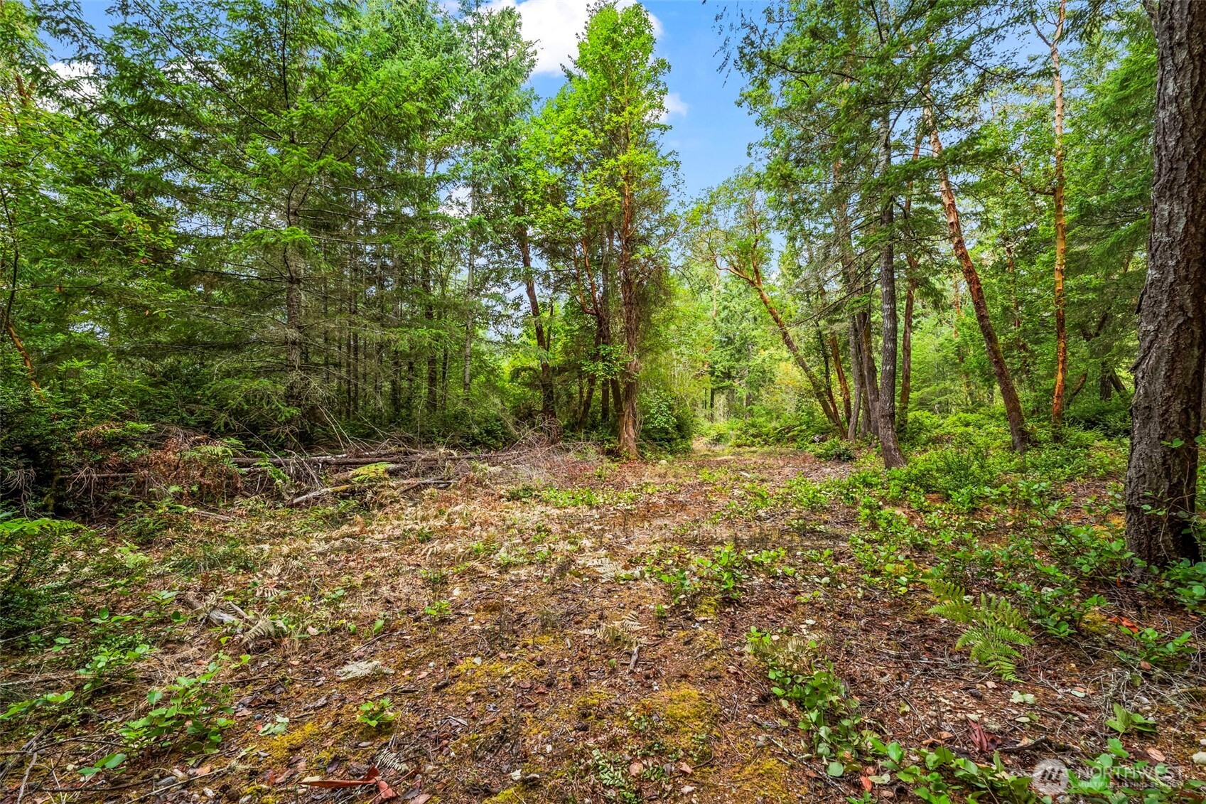 17420 74th Street Northwest Vaughn, WA 98394 - Photo 17 of 17 a view of outdoor space and yard
