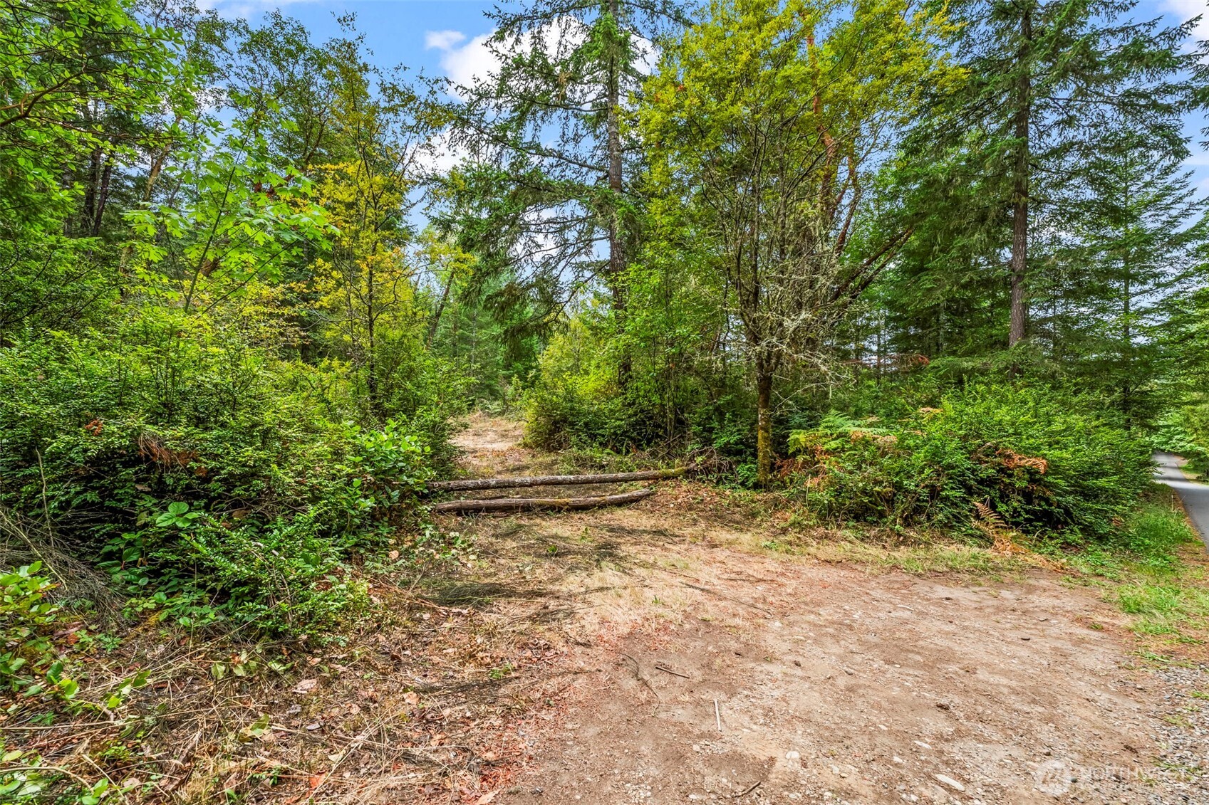 17420 74th Street Northwest Vaughn, WA 98394 - Photo 2 of 17 a view of a yard with plants and trees
