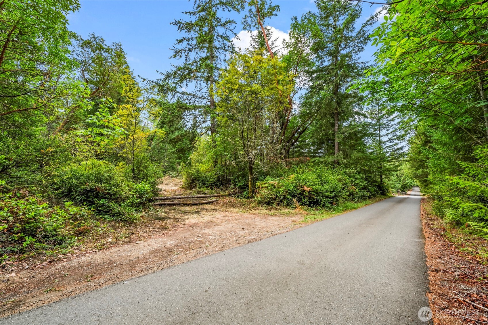 17420 74th Street Northwest Vaughn, WA 98394 - Photo 3 of 17 a view of a yard with plants and trees