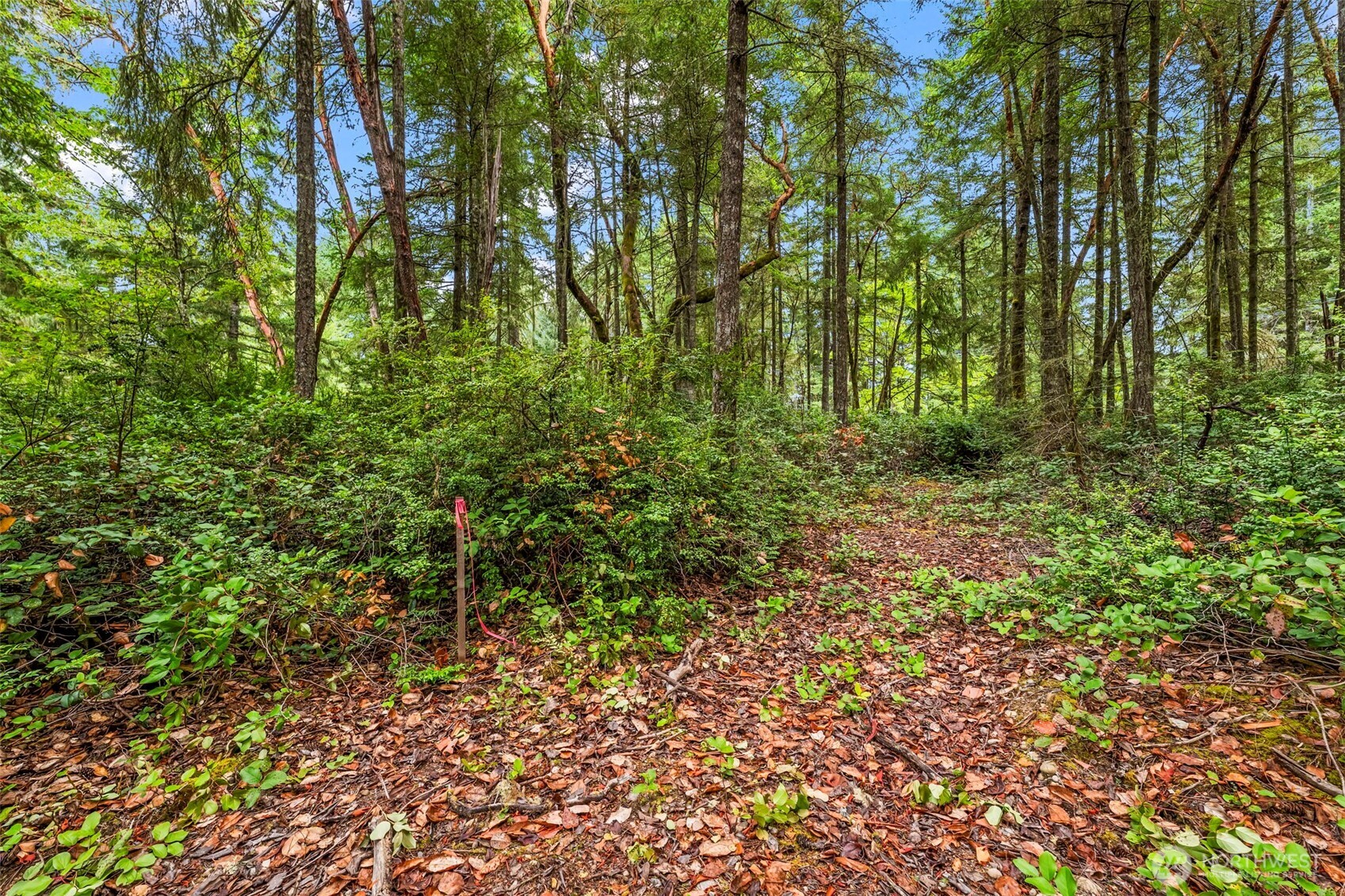 17420 74th Street Northwest Vaughn, WA 98394 - Photo 5 of 17