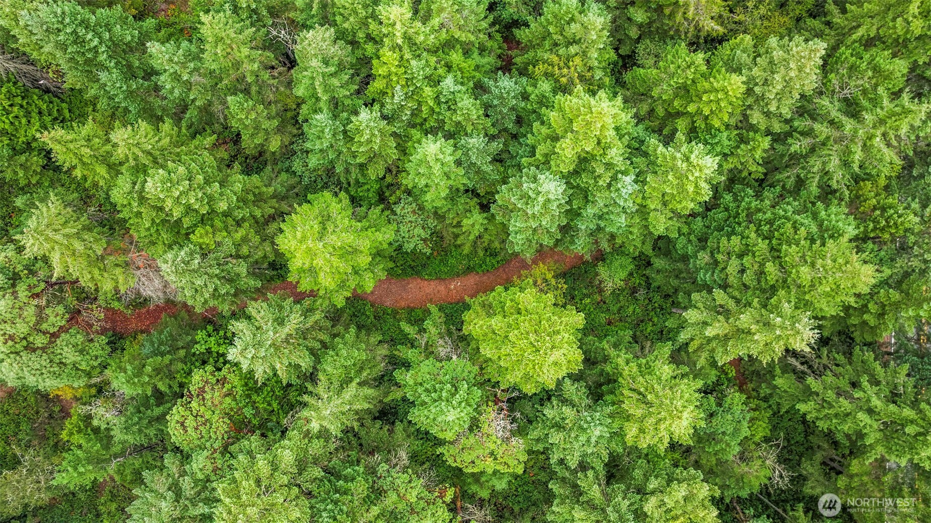 17420 74th Street Northwest Vaughn, WA 98394 - Photo 9 of 17 a backyard of a house with yard and tree