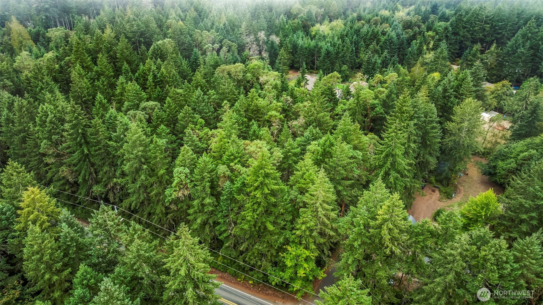 17420 74th Street Northwest Vaughn, WA 98394 - Photo 10 of 17 a view of a lush green forest with lawn chairs and plants
