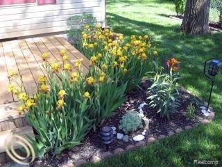 2340 Melvin Avenue Rochester, MI 48307 - Photo 18 of 22 Flowers at Deck.jpeg