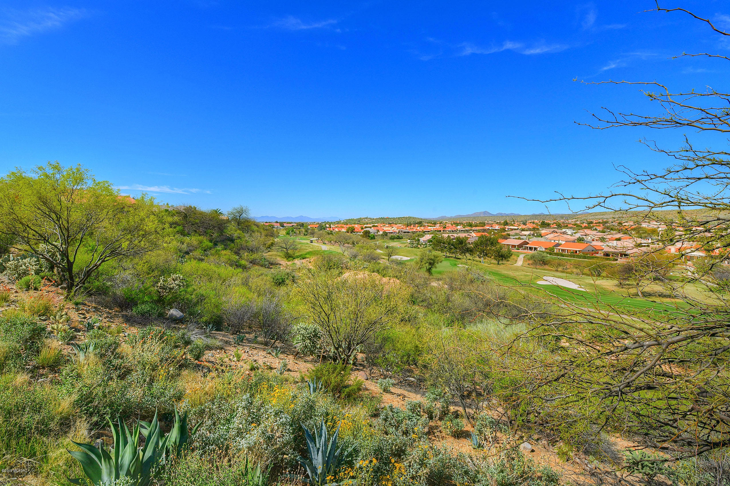 37172 South Highland Ridge Drive Saddlebrooke, AZ 85739 - Photo 18 of 40