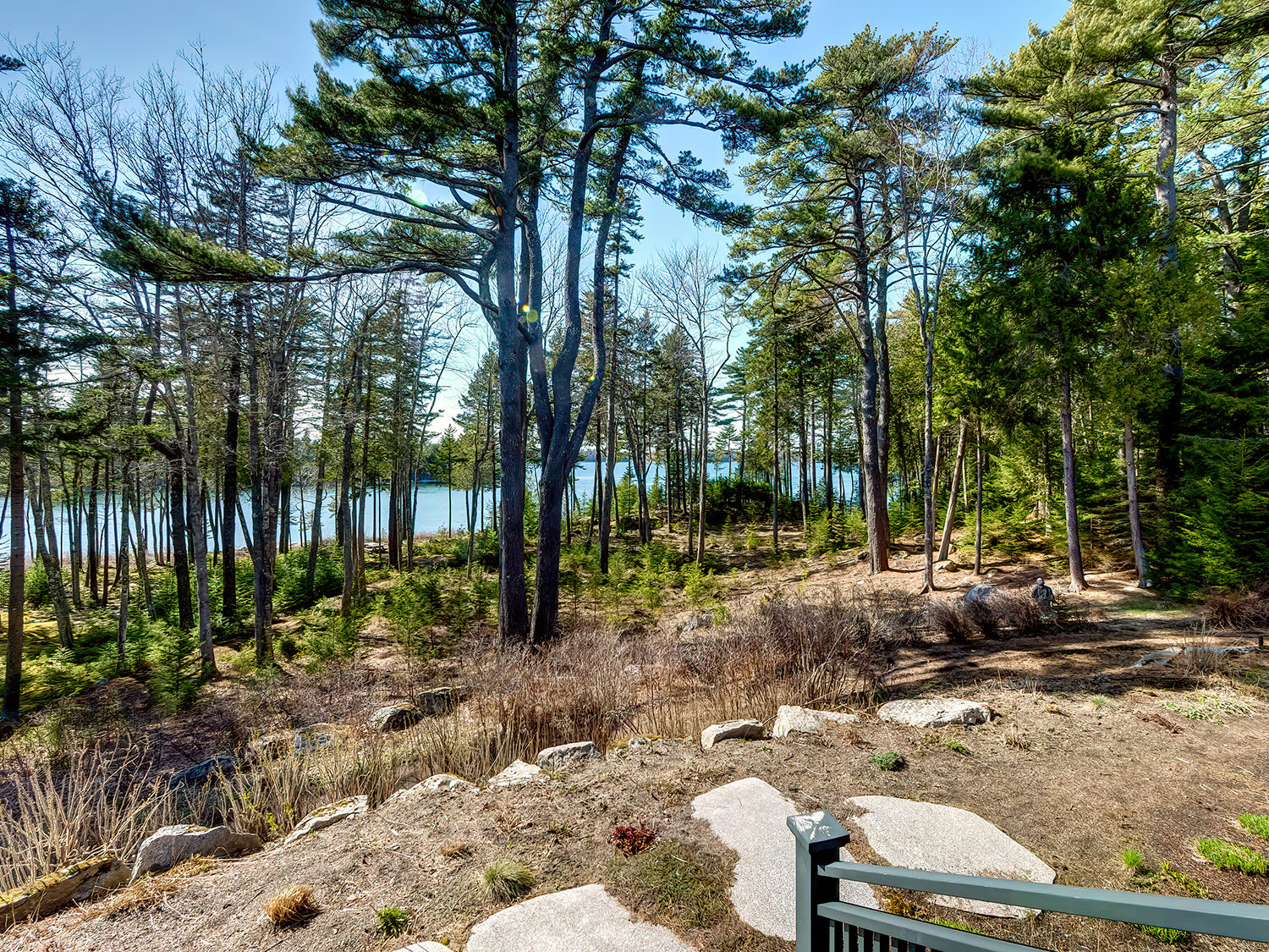 320-330 Sound Drive Mount Desert, ME 04660 - Photo 5 of 68 New Views to water (4)