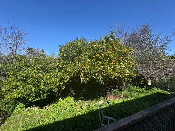 $965,000 | 36569 Beutke Drive, Newark, CA 94560