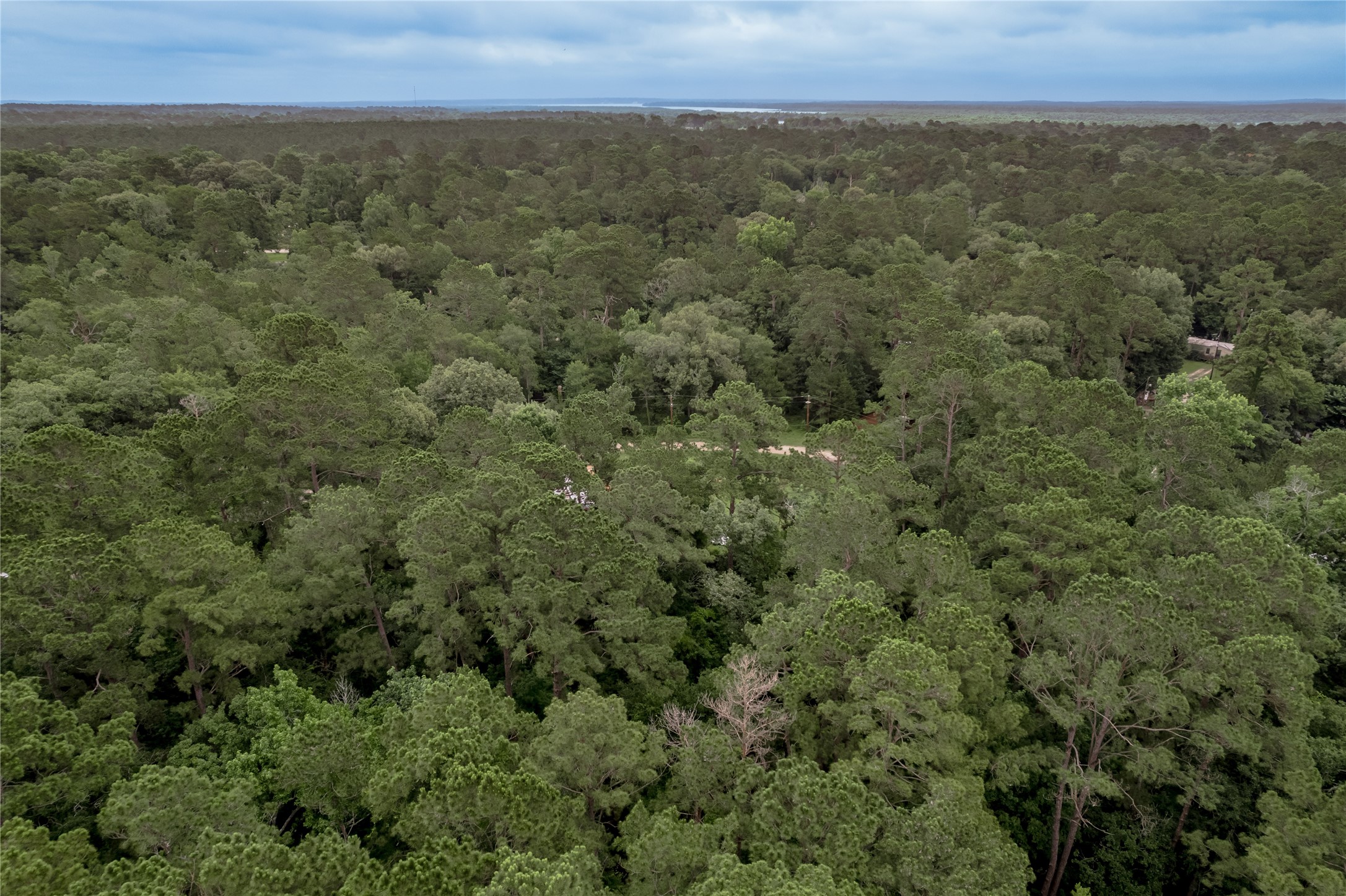 Lot 55 Post Oak Circle Trinity, TX 75862 - Photo 28 of 31