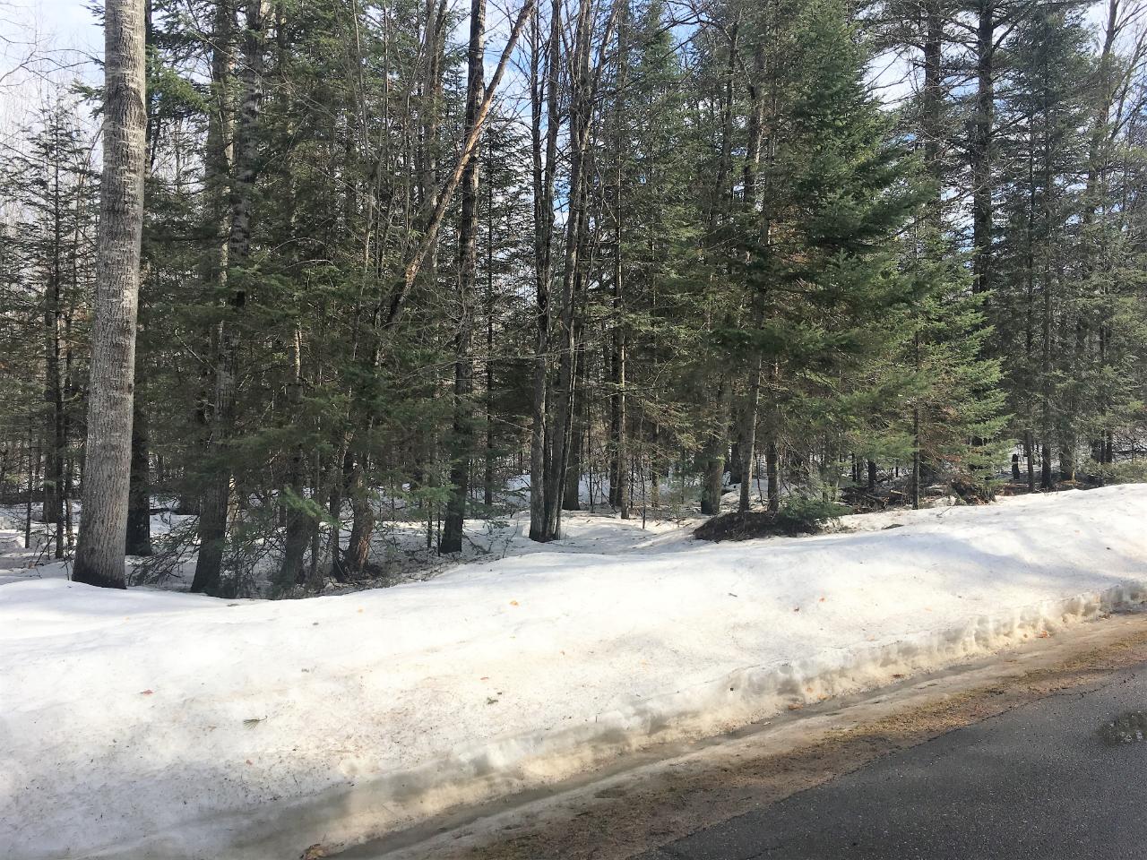Lot 25 North Carpenter Lake Road Eagle River, WI 54521 - Photo 3 of 7 Gallery Image 3