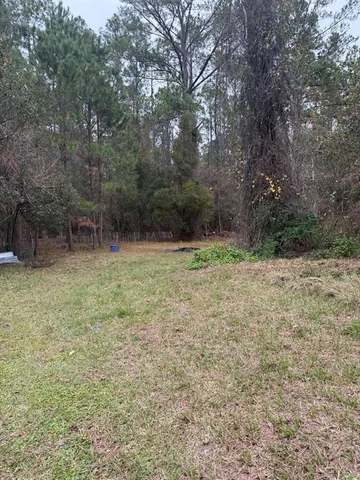 a backyard of a house with lots of green space