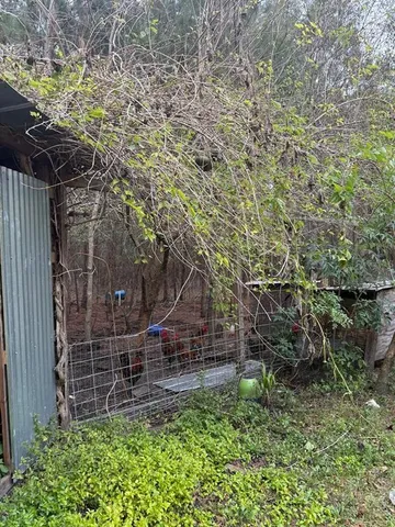 a backyard of a house with lots of green space