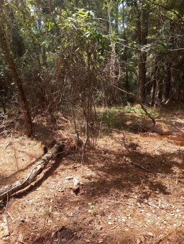 a view of empty yard