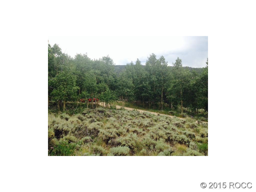 173 Ptarmigan Road Leadville, CO 80461 - Photo 15 of 19 Gallery Image 15