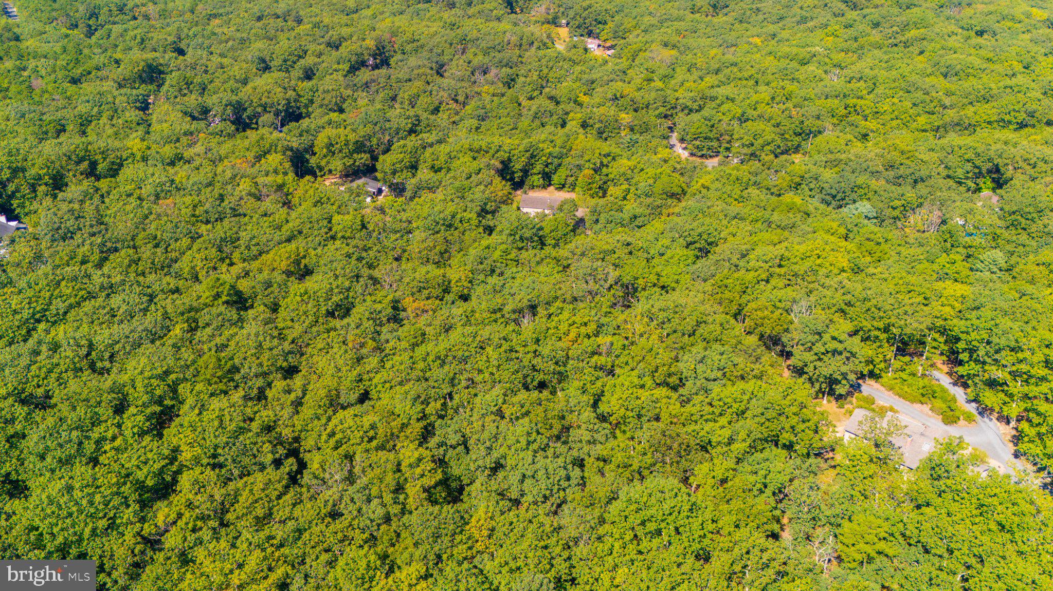 46 Hopkins Road New Egypt, NJ 08533 - Photo 59 of 65 Gallery Image 59