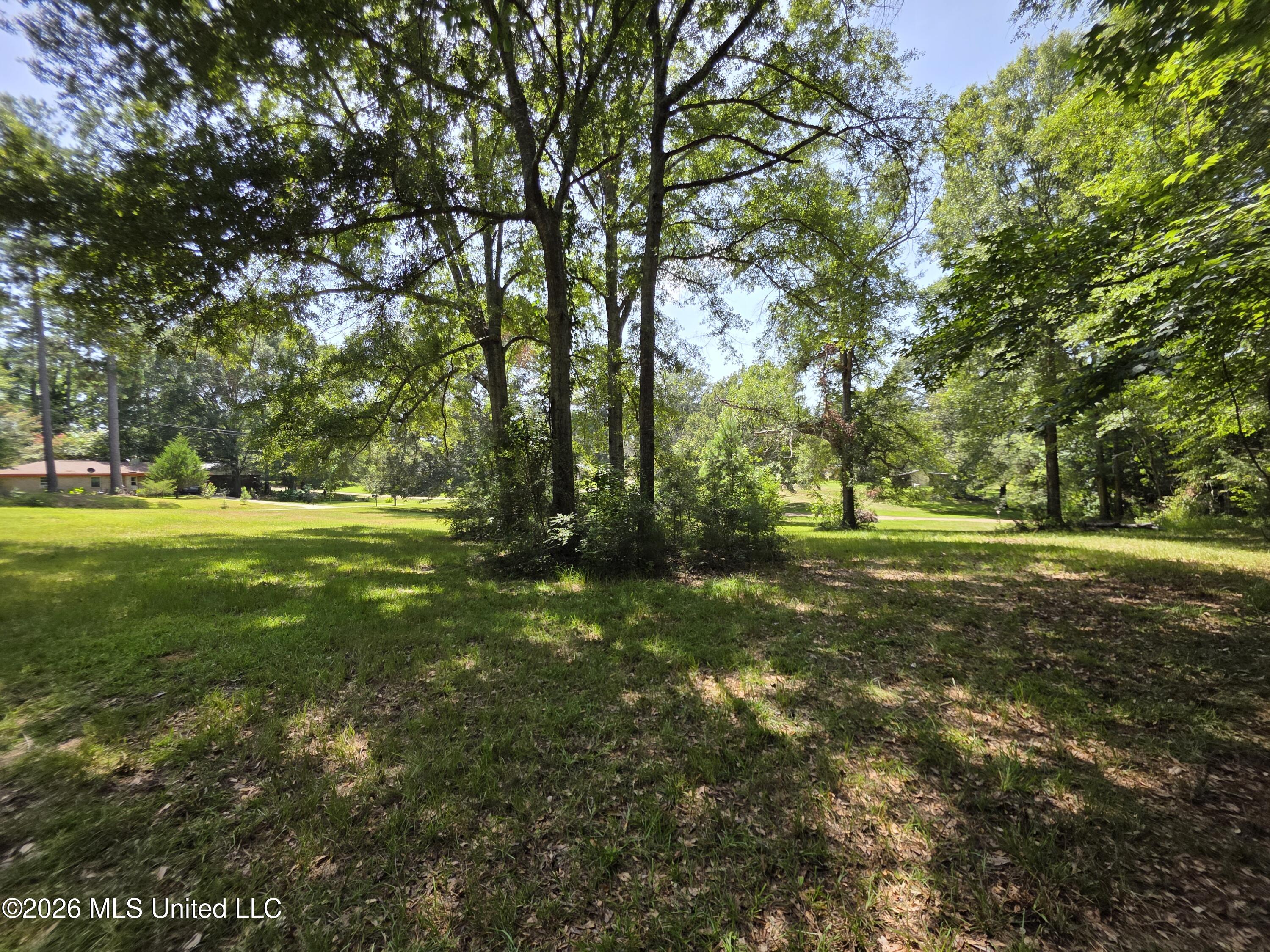 1041 3rd Street Wesson, MS 39191 - Photo 13 of 21 36601