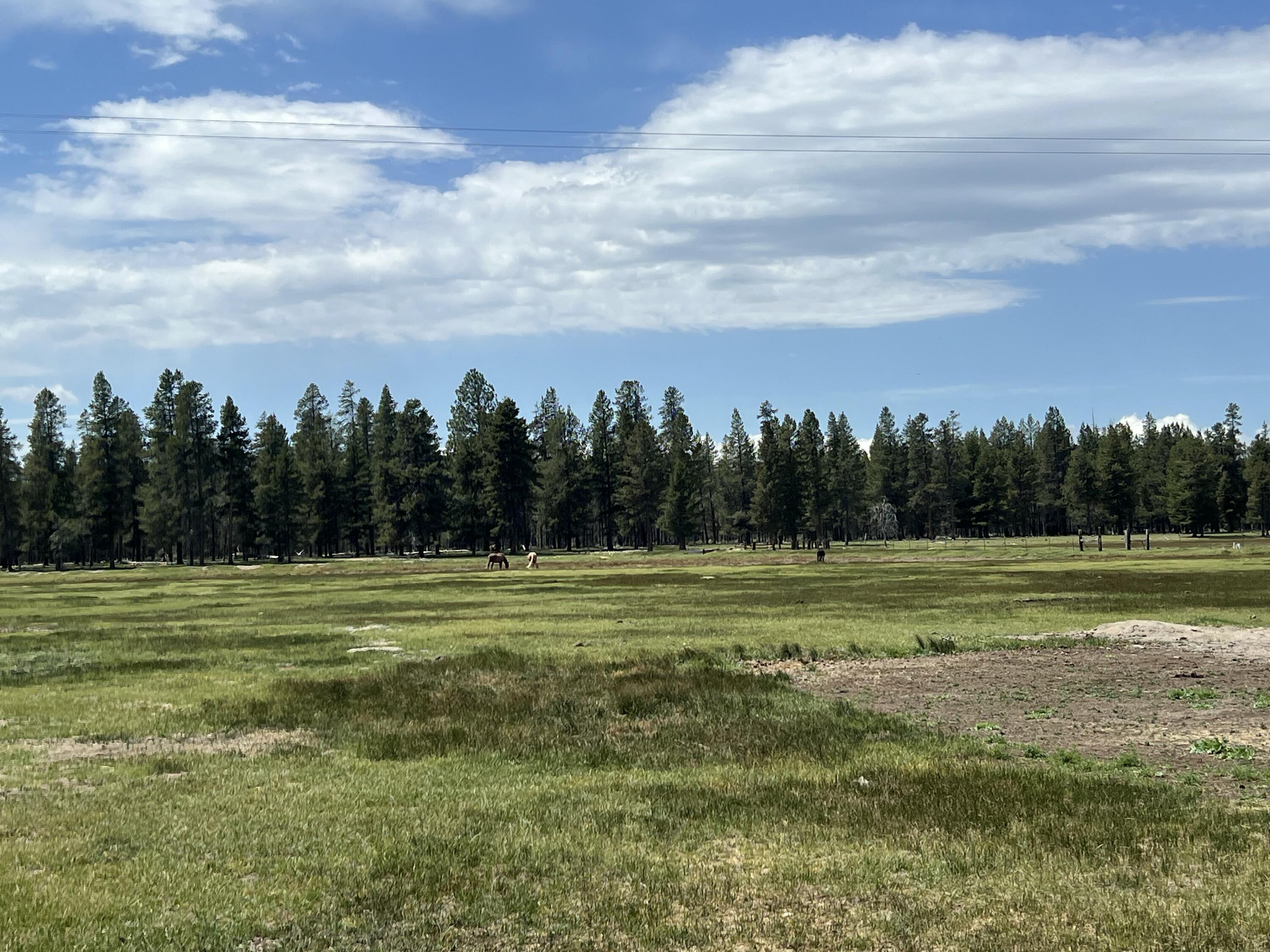 151772 Beal Road La Pine, OR 97739 - Photo 6 of 35 Pasture