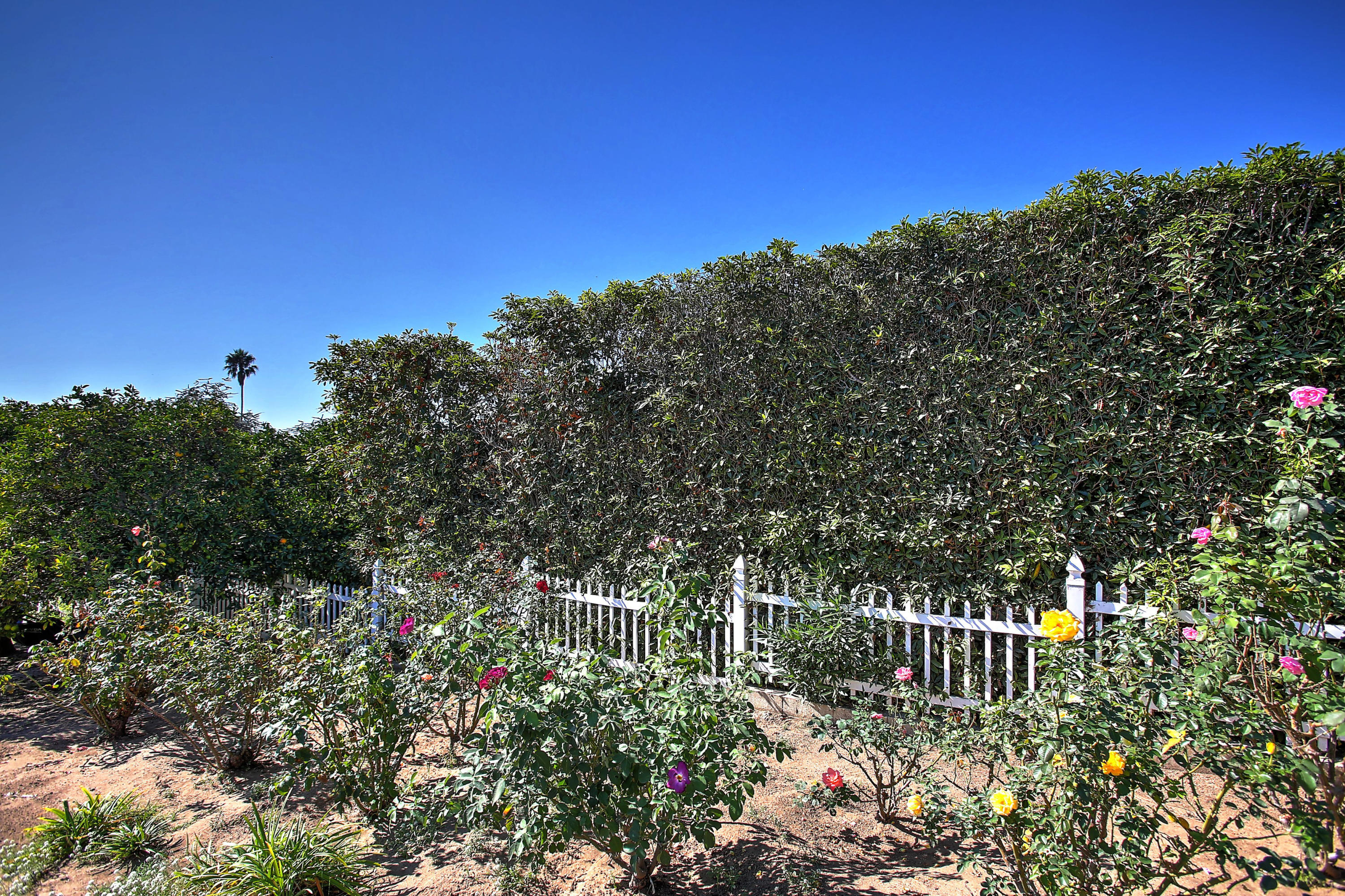 1731 La Mirada Drive Carpinteria, CA 93013 - Photo 50 of 50 033