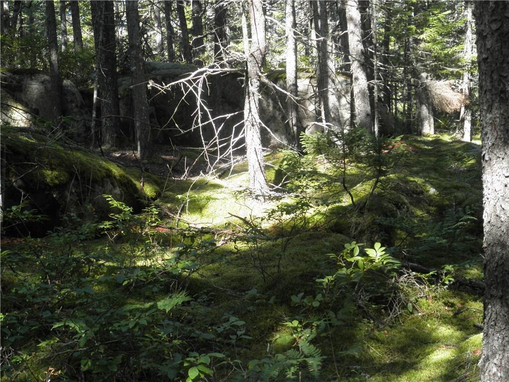 2 Ritz Road Vinalhaven, ME 04863 - Photo 18 of 19 Photo
