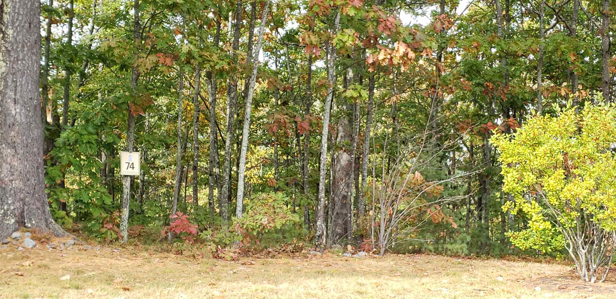 60 Lighthouse Cliffs, Unit 74 Laconia, NH 03246 - Photo 1 of 20