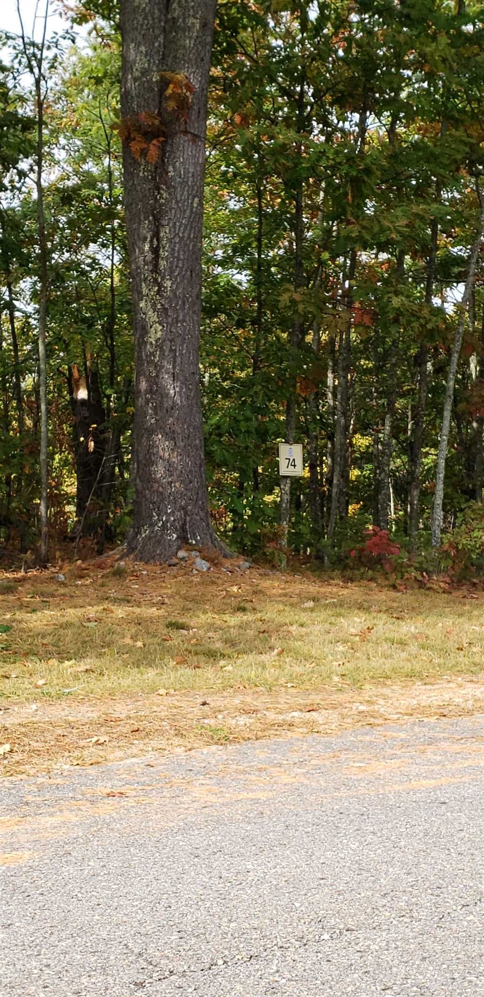 60 Lighthouse Cliffs, Unit 74 Laconia, NH 03246 - Photo 2 of 20