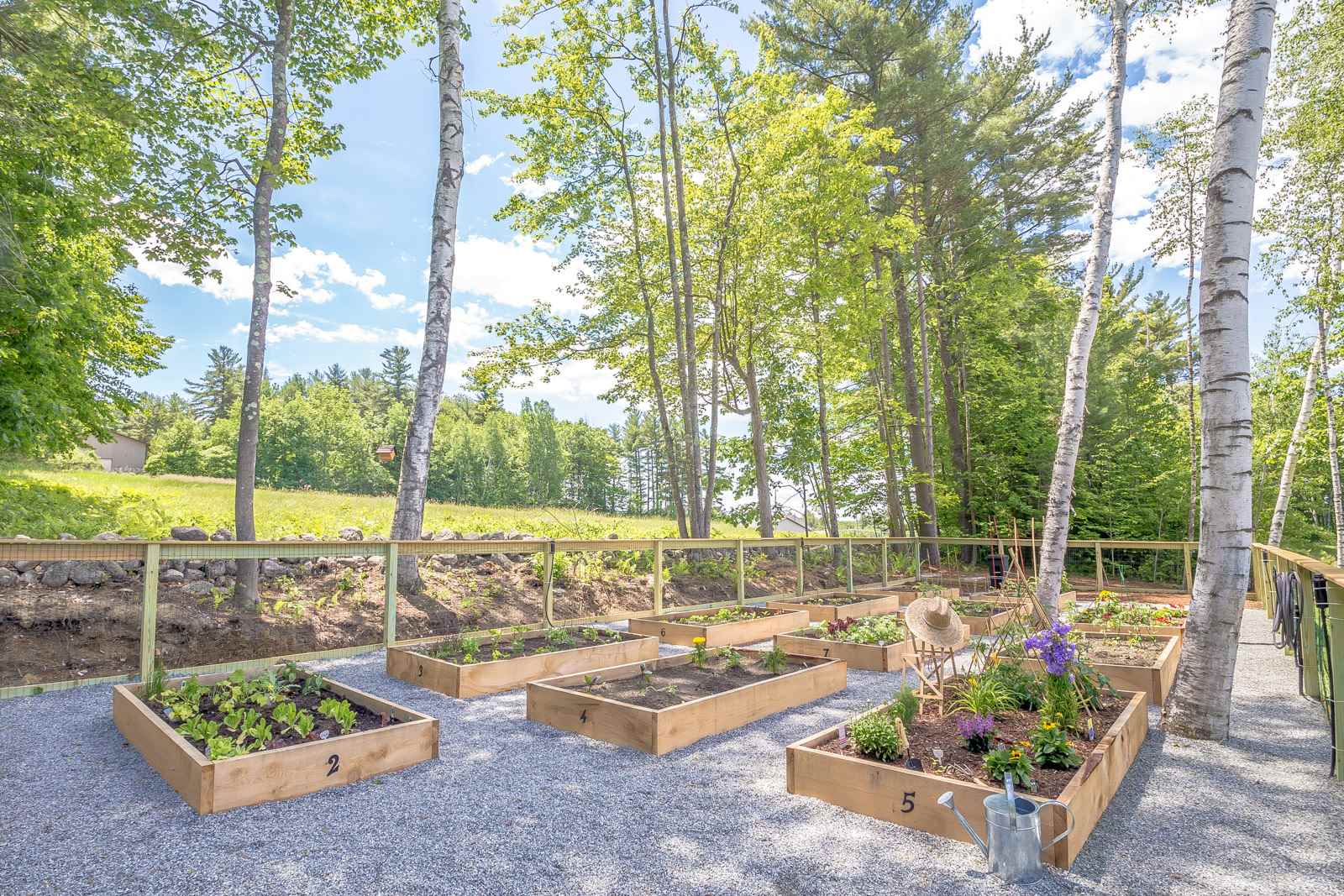 60 Lighthouse Cliffs, Unit 74 Laconia, NH 03246 - Photo 19 of 20