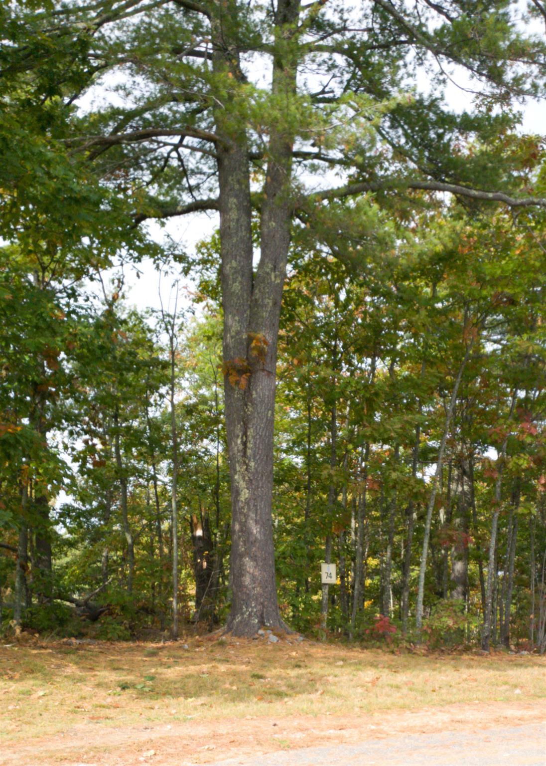 60 Lighthouse Cliffs, Unit 74 Laconia, NH 03246 - Photo 3 of 20