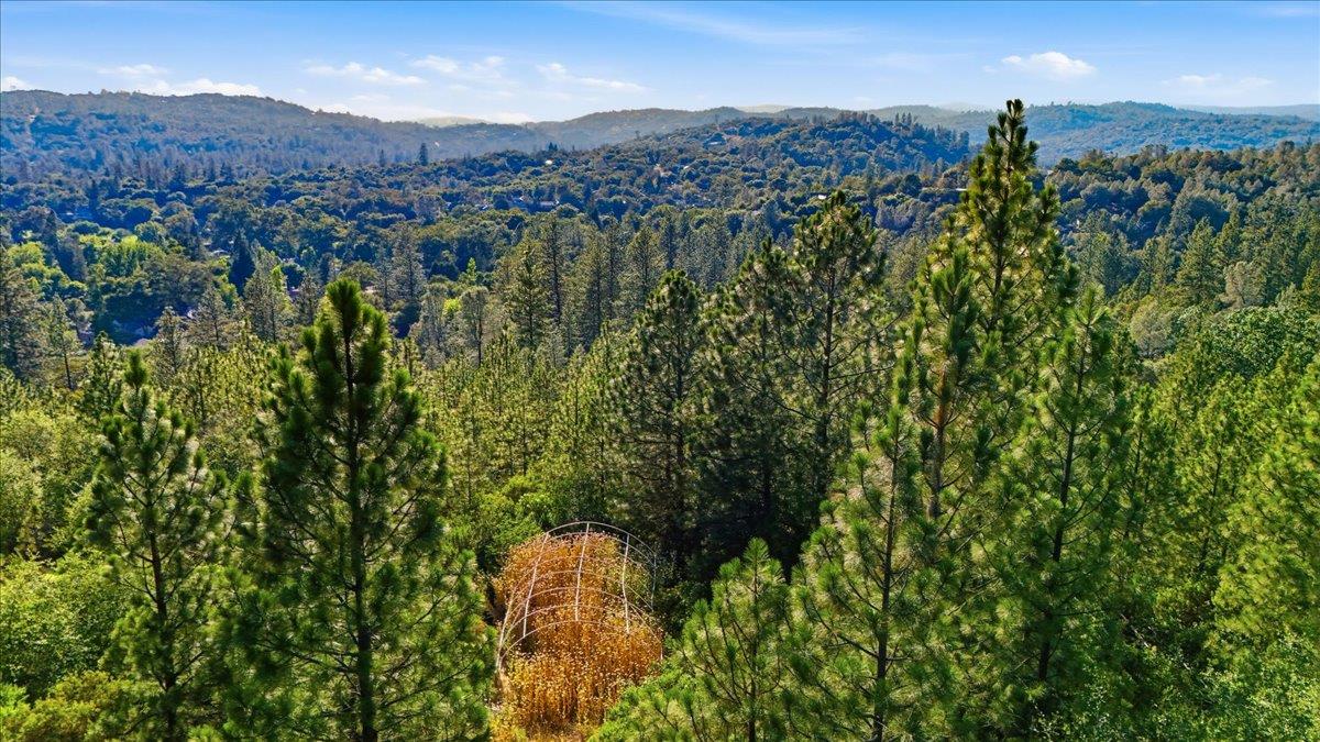 17436 Black Forest Road Penn Valley, CA 95946 - Photo 22 of 36