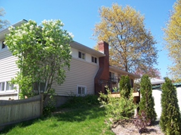 67 Dayton Street Springfield, MA 01118 - Photo 18 of 20 a view of a backyard with plants and large trees