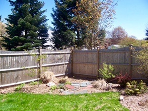 67 Dayton Street Springfield, MA 01118 - Photo 19 of 20 a backyard of a house with lots of green space