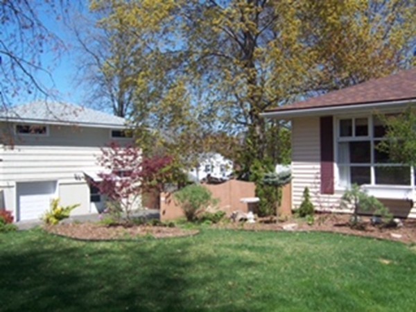 67 Dayton Street Springfield, MA 01118 - Photo 20 of 20 a front view of a house with a garden and plants