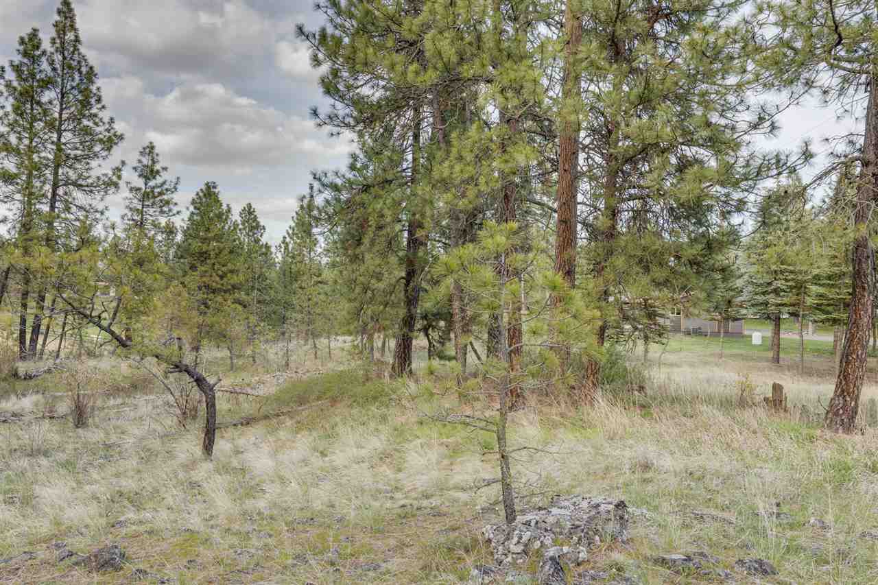 603 South Russell Road Spokane, WA 99224 - Photo 18 of 20