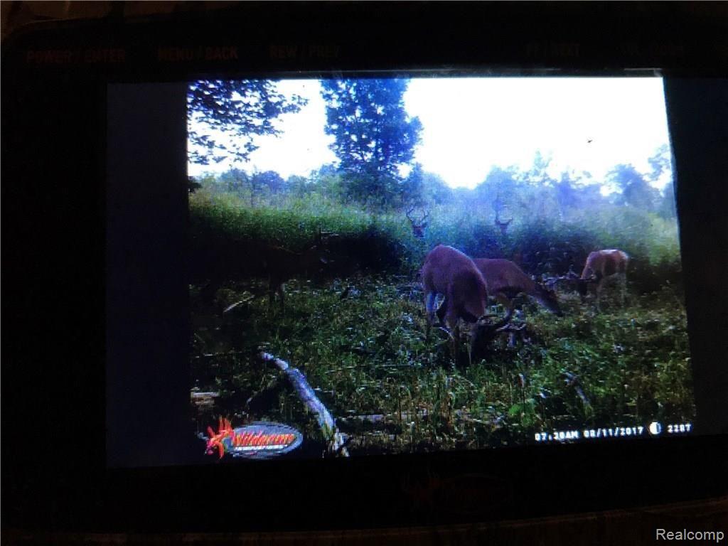 5796 Milett Road Fowlerville, MI 48836 - Photo 54 of 61 5796 trail cam 4.jpg