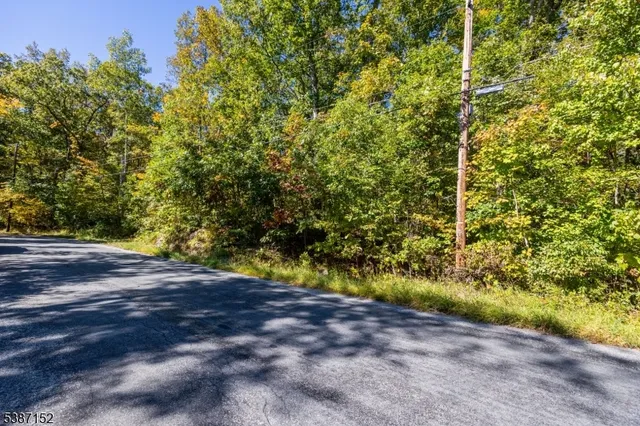 a view of a yard with plants and trees