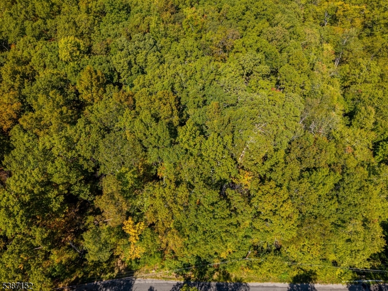 7 Bridge Road Vernon, NJ 07422 - Photo 11 of 18 a view of a yard with a plants and small trees