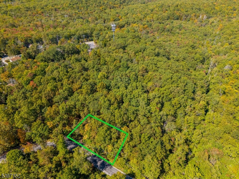 7 Bridge Road Vernon, NJ 07422 - Photo 12 of 18 a view of a big yard with plants and wooden floor