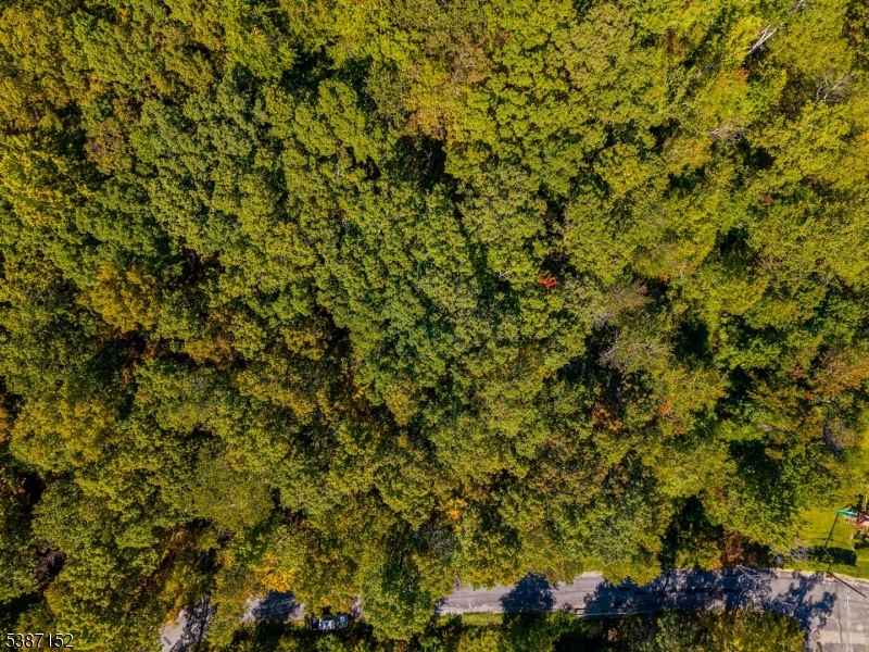 7 Bridge Road Vernon, NJ 07422 - Photo 14 of 18 a view of a tree