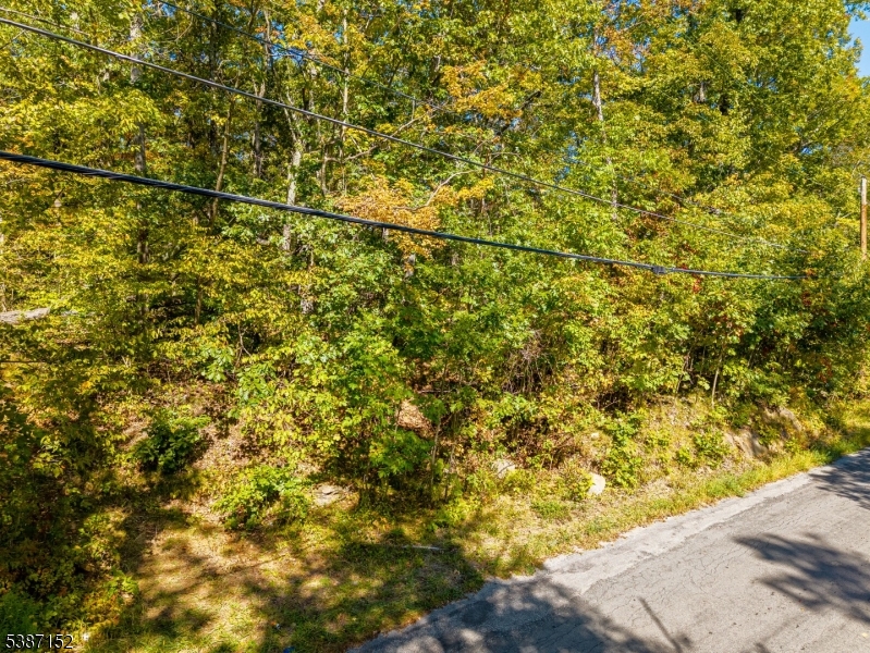 7 Bridge Road Vernon, NJ 07422 - Photo 16 of 18 a view of a yard