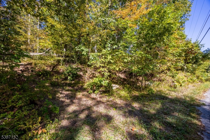 7 Bridge Road Vernon, NJ 07422 - Photo 17 of 18 a view of a tree in a yard