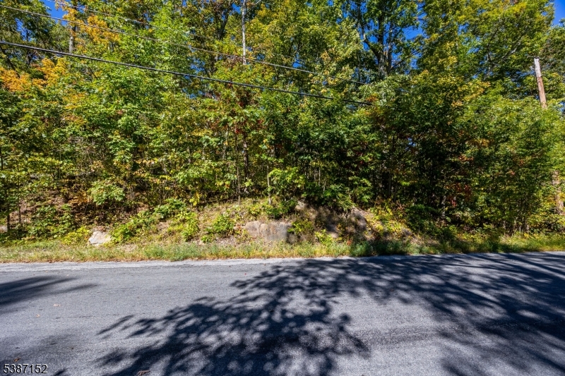 7 Bridge Road Vernon, NJ 07422 - Photo 2 of 18 a view of a yard with a tree