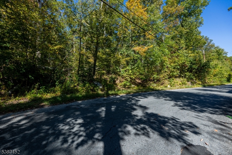 7 Bridge Road Vernon, NJ 07422 - Photo 3 of 18 a view of a pathway both side of yard