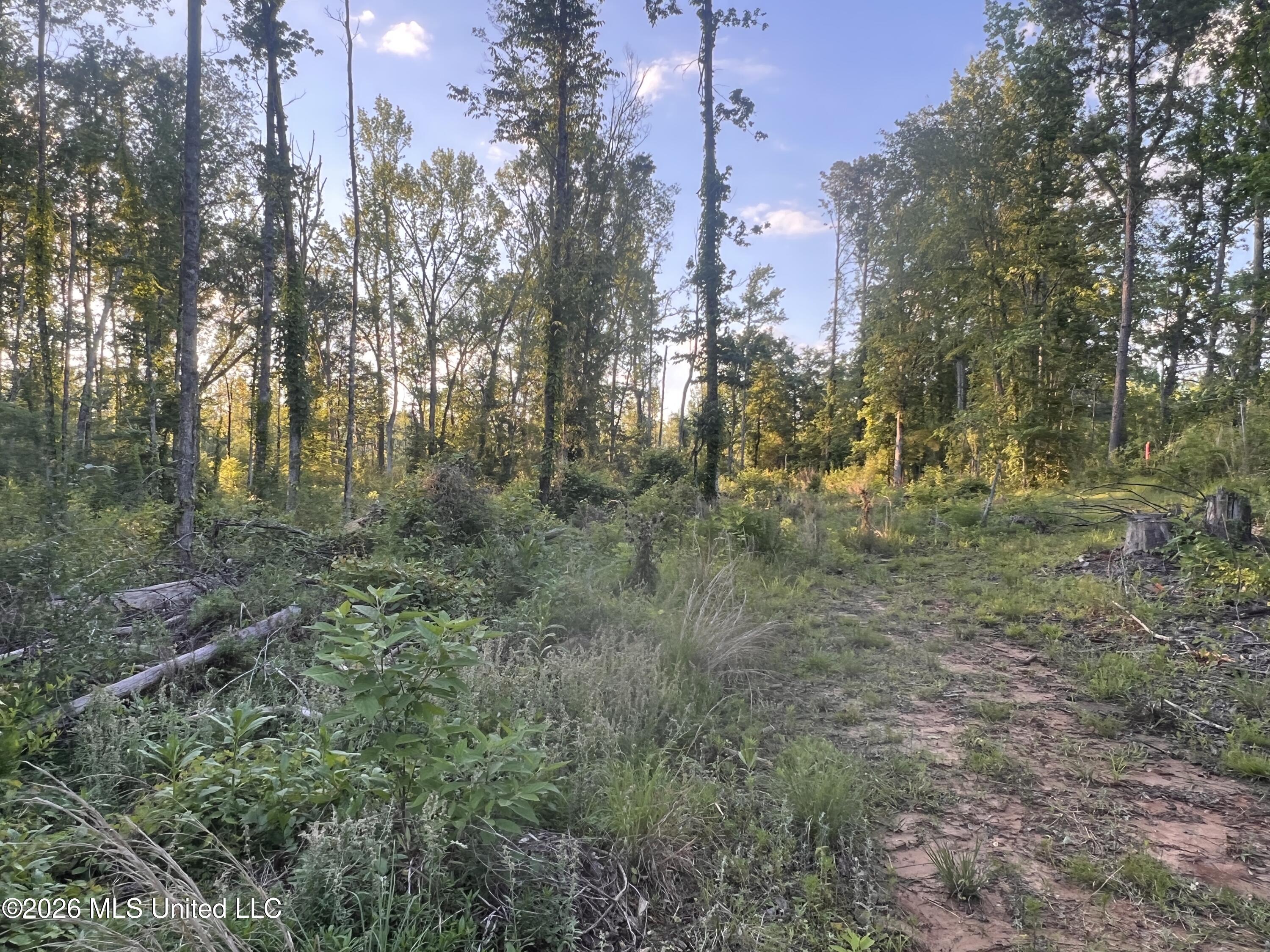 5734 Hebron Road Liberty, MS 39645 - Photo 16 of 32 16.